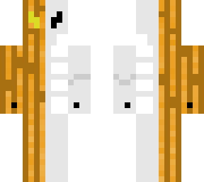pumpkin w/ skeleton