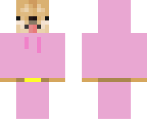 pyjama dog