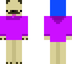 pug with purple hoodie and blue beanie