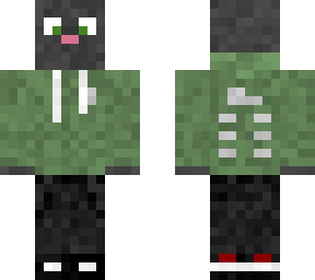 cat with green sweatshirt