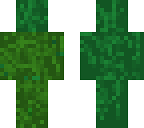 trawa