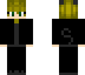 basic cat noir +room to improve+