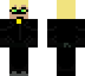 cat noir/ chat noir