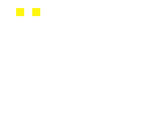 the pair of eye's
