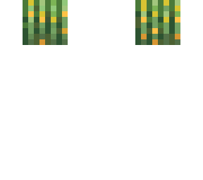 head_15