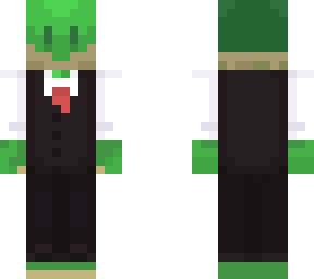 turtle guy