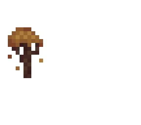 autumn ~ skintober .