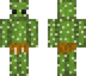 cactem for server