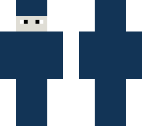 ninja skin