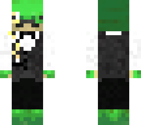 fancy turtle