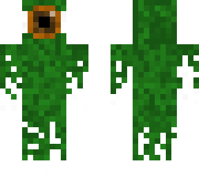 tribaltrainer2