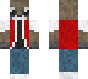 racoon pokymans