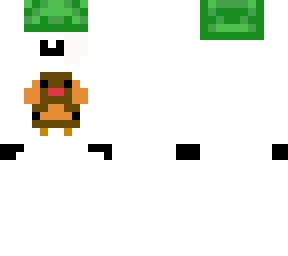 turkey turtle