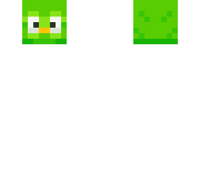 duolingo (head only)