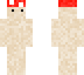 mushroom guy