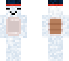 snow turtle