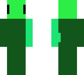 turtle skin