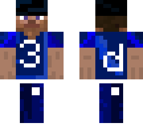 your avarege minecraft new 3ds fan
