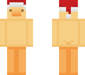 snowy duck