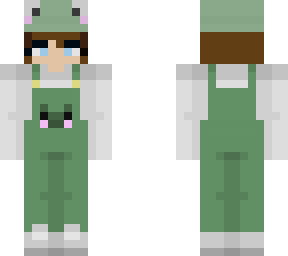 frog nikki