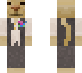 gato elegante