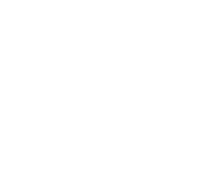 bruh xd