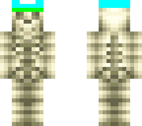 skeleton ach