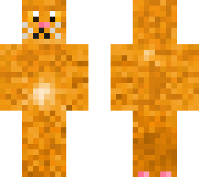 the kitty