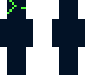 bash2313y