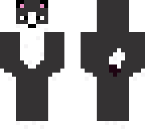 black and white cat