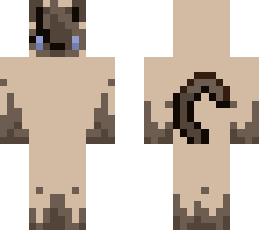 siamese cat - unshaded