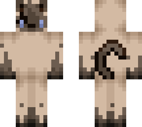 siamese cat