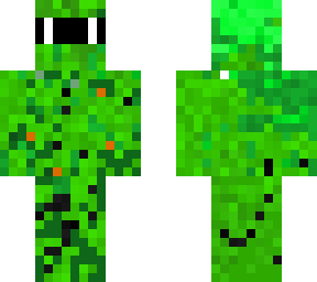 camo 01