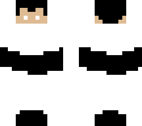 the silent ninja