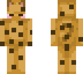 cute cookie cat