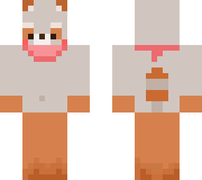racoon - cucbincoan
