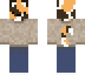 calico cat with sweater