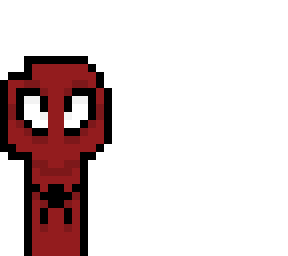 spider dream