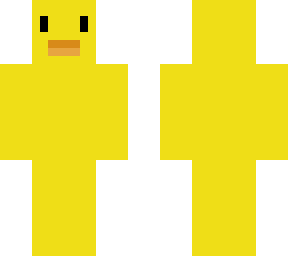 cute duck