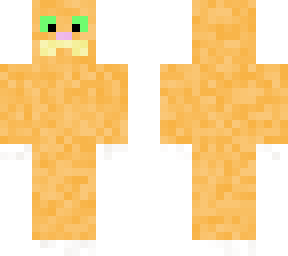 ginger cat