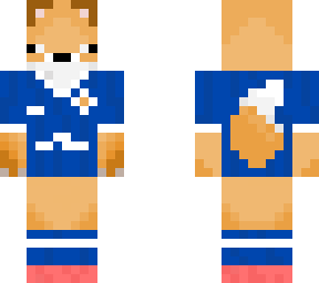 leicester city foxes