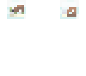 pet turtle