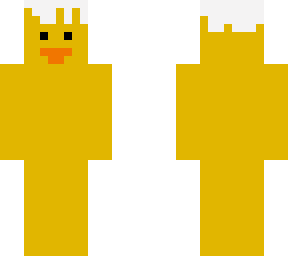 duck with shell