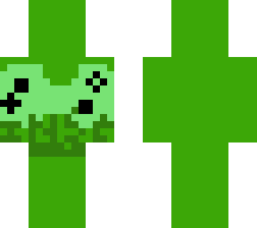 insert skin 2