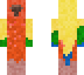 sun conure