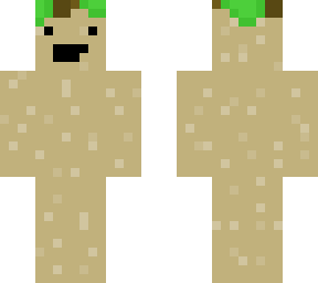 el hombre burrito