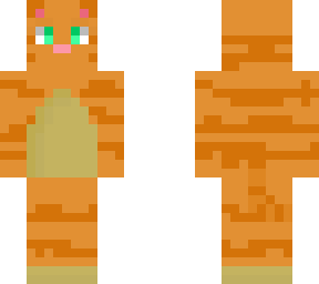 a cat