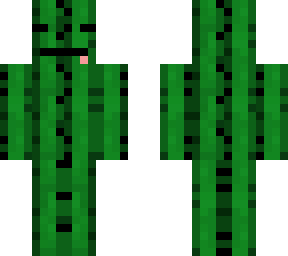 camuflage cactus
