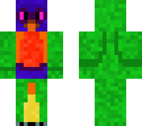 rainbow lorakeet