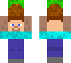 steve get grass